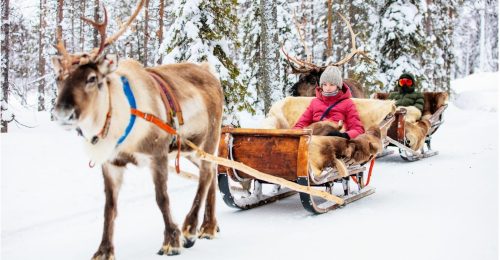 3 Night Family Lapland Winter Adventure in Levi image