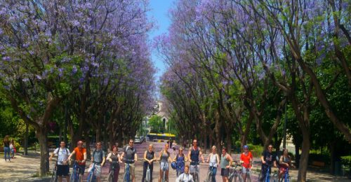 Athens City Bike Tour image