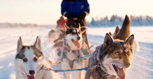 Active Family Adventure in Saariselkä image