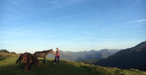 Packhorse Picnic and Wellness Day image