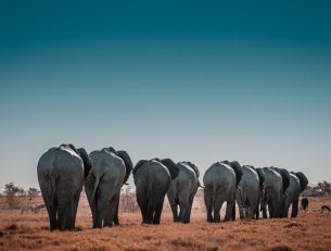 Best Nature Photography Destinations around the World image