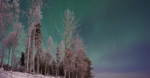 3 Night Family Lapland Adventure in a Levi Aurora Suite image