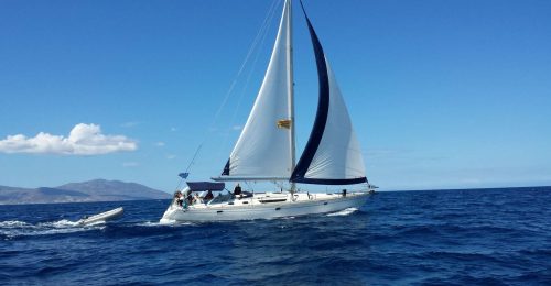 Mykonos Full-Day Sailing, Delos Guided Tour and Rhenia Swimming image