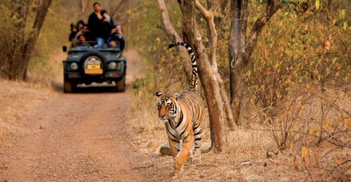 India Sojourn image