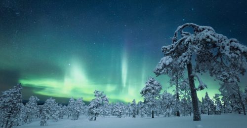 4 Night Arctic Treehouse Romantic Aurora Adventure image