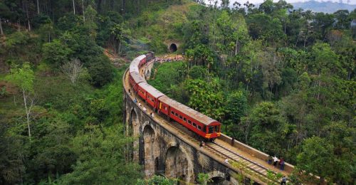 Walking through Sri Lanka’s Cities and Jungles image