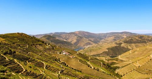 Douro Valley Private Winery and River Cruise image