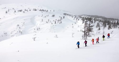 Learn to Cross-Country Ski image