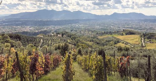 Tuscan Crochet Retreat image