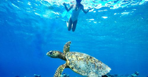 7 Night Island Hopping Experience – Private image