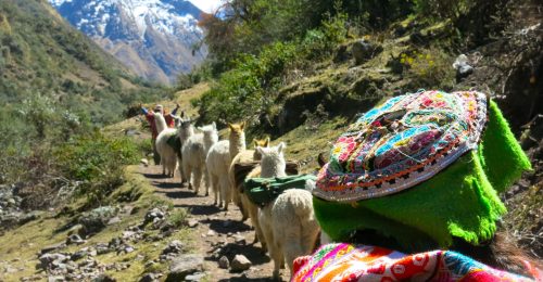 Highlights of Southern Peru image