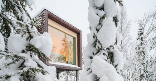 4 Night Arctic Treehouse Adventure image