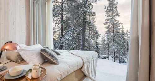 3 Night Arctic Treehouse Adventure image