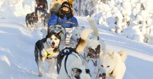 5 Night Active Family Adventure in Pyha image
