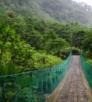 Where is the best cloud forest in Costa Rica? image