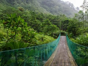 Where is the best cloud forest in Costa Rica? image