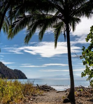 The Ultimate Guide to a Holiday in: Costa Rica image