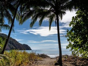 The Ultimate Guide to a Holiday in: Costa Rica image