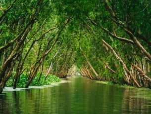 Ecotourism vs Sustainable Tourism – what is the difference? image