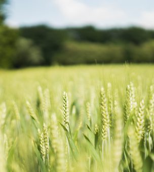 Earth Day: What You Need To Know and How You Can Help image