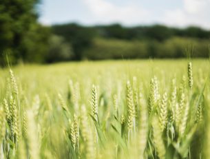 Earth Day: What You Need To Know and How You Can Help image