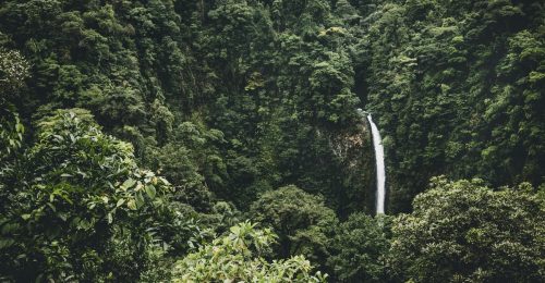 Rural Experiences in Providencia de Dota image