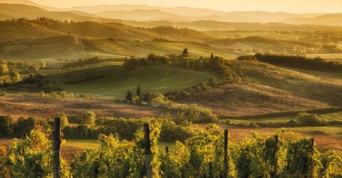 Chianti and Castle Tour from Siena image