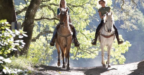 Tuscan Horseback Riding From Siena image