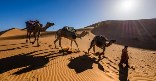 5 Day Marrakech to Tangier Tour image