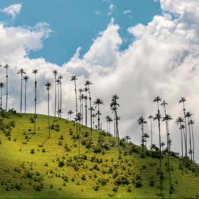 Colombia Image