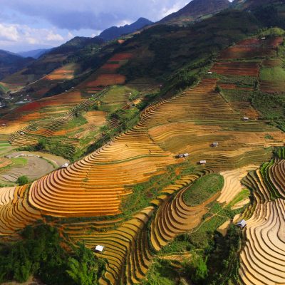Vietnam