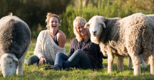 Sheepy Sleepover Retreats image