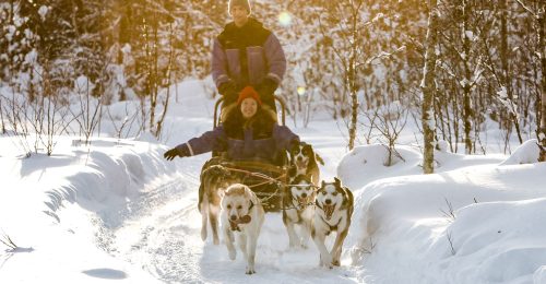 3 Night Family Wilderness Adventure, Rovaniemi image