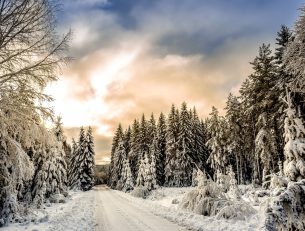 Top 5 Winter Destinations image