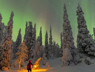 The Best Months to Witness the Northern Lights in Lapland image