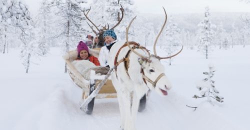 4 Night Family Festive Ranch Adventure, Levi image