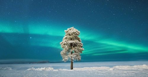4 Night Festive Lakeside Adventure, Inari image