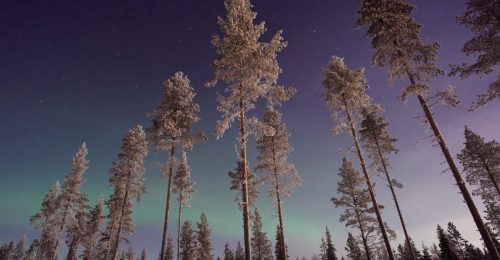 3 Night Romantic Aurora Adventure in Saariselkä image