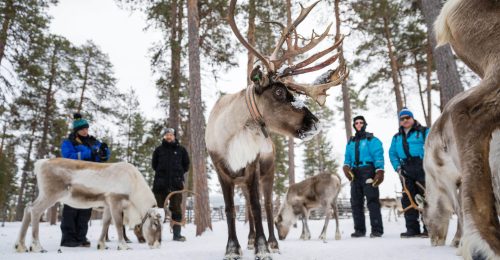 3 Night Festive Lakeside Adventure, Inari image