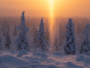 Lapland’s Best Kept Secret: Nellim image