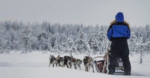 A Short Break in Lapland, Pyha image