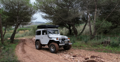 Namibia at a Glance – Self Drive image