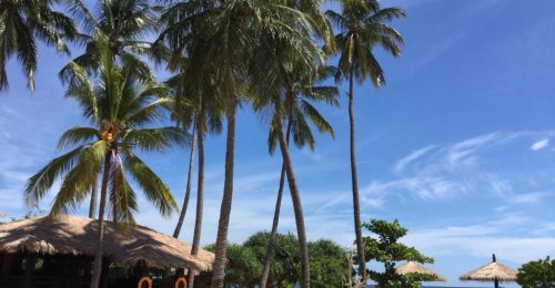 14 Night Sri Lankan Family Adventure – Winter image