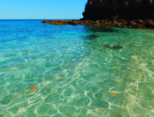 The Best Beaches in Costa Rica image