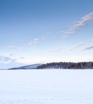 Inari image