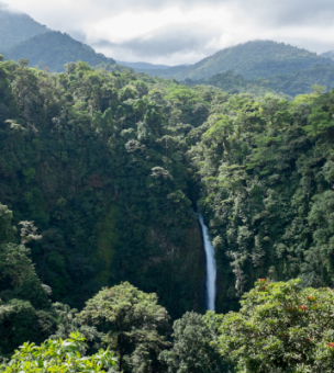 Monteverde image