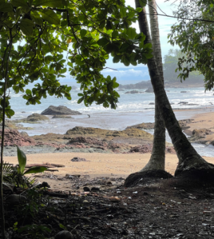Drake Bay image
