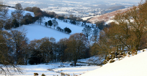Winter Warmer Yoga and Relaxation Retreat image