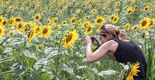 Photography Hero Holiday Charente, France image