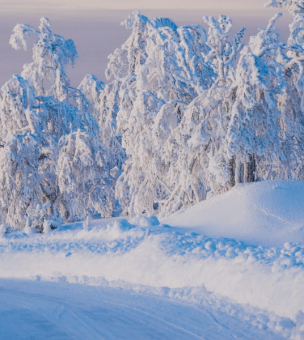 Ivalo image